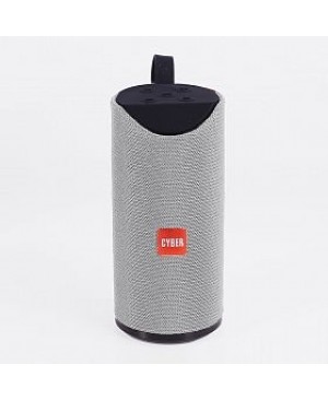 Cyber Splash Proof Portable Wireless Speaker for Mobile & Laptop, Supports AUX, USB & TF Card, CYSP-207-B