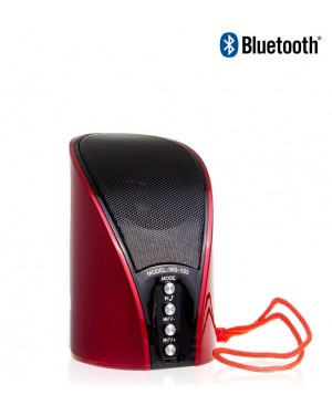 Bluetooth speaker WS-133