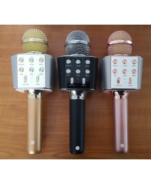 WSTER WS-1688 Microphone Hifi Speaker